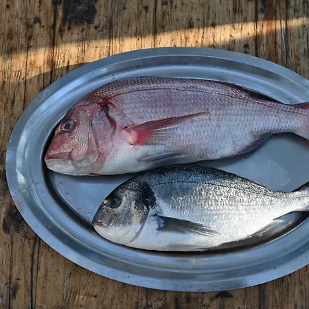 Nocleg ze śniadaniem Paradiso - Pakleni Islands Hvar 3*